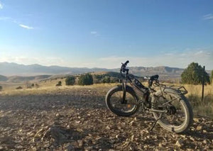 RadRover with 52V 15AH Calibike Battery