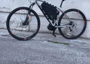 Giant 48v 750w 20a commuter