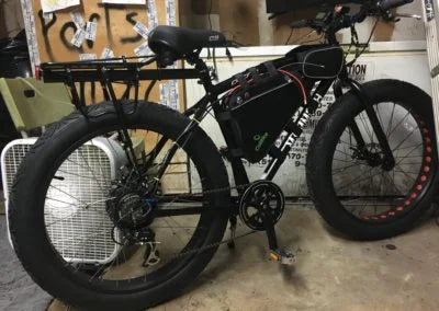 The Texas Mammoth 48v-20ah